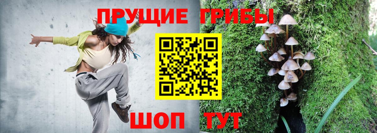 Галлюциногенные грибы GOLDEN TEACHER  Псилоцибиновые грибы Psilocybe  Вход с VPN  Новошахтинск 