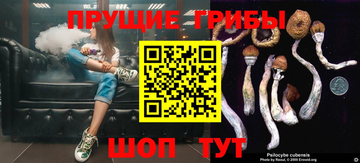 Галлюциногенные грибы мухоморы Новошахтинск
